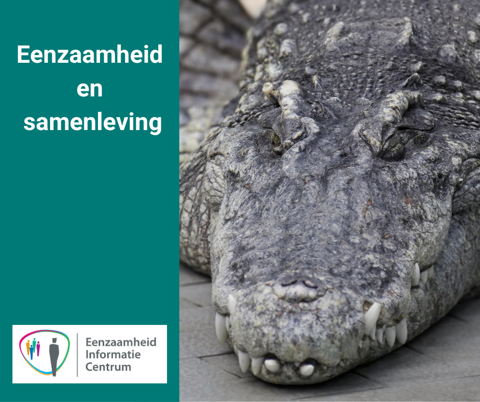 Eenzaamheid-en-samenleving-beeld-Pixabay